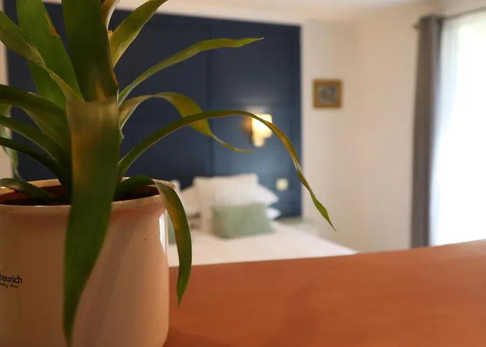 Vakantiehuis The Garden Retreat *